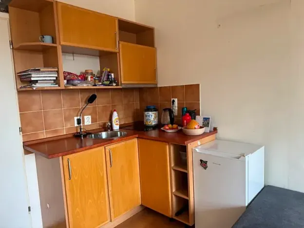 Pronájem bytu 1+kk, Olomouc, Jarmily Glazarové, 27 m2