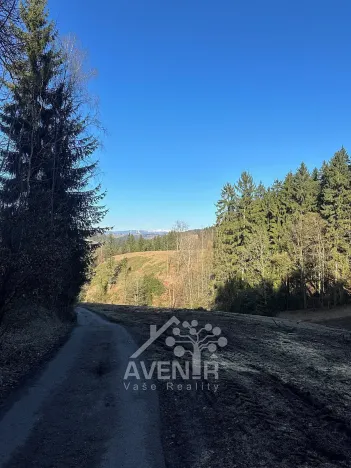 Prodej louky, Bozkov, 15029 m2