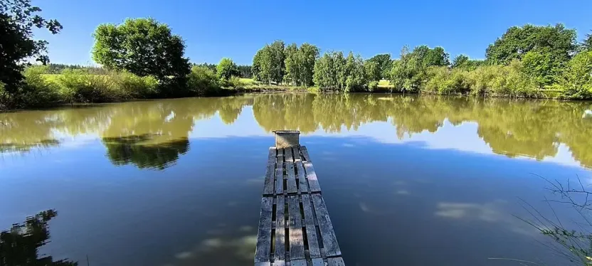 Prodej rybníku, Okrouhlá, 6048 m2