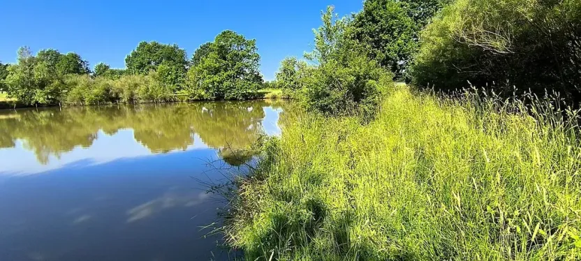 Prodej rybníku, Okrouhlá, 6048 m2