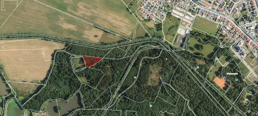 Prodej lesa, Františkovy Lázně, Jezerní, 2956 m2