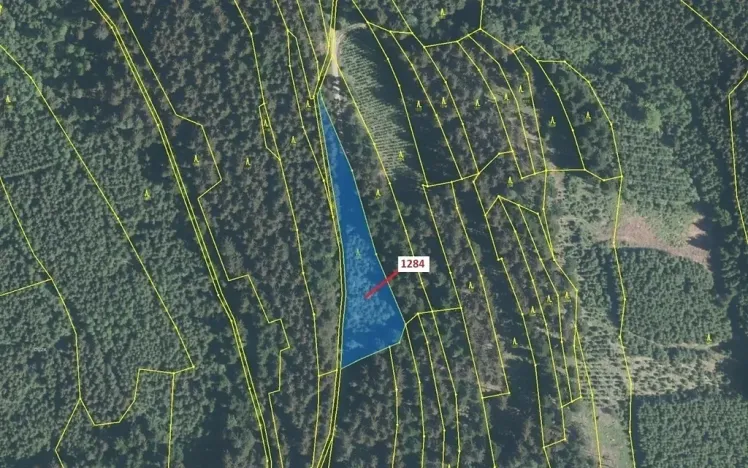 Dražba lesa, Lačnov, 3805 m2