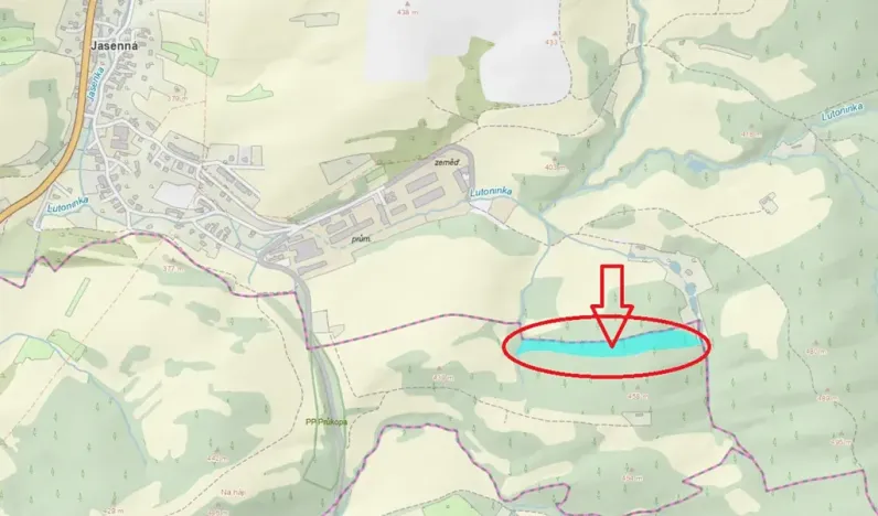 Prodej lesa, Lutonina, 18019 m2