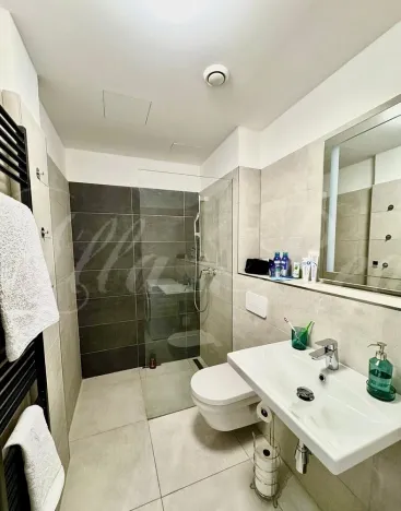 Pronájem bytu 1+kk, Brno - Brno-město, Kobližná, 50 m2