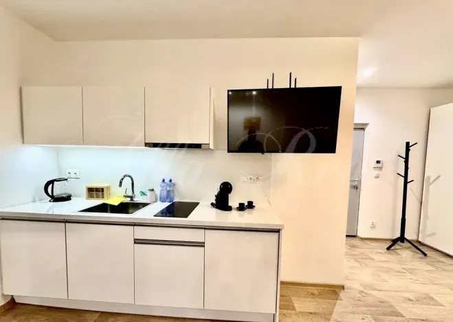 Pronájem bytu 1+kk, Brno - Brno-město, Kobližná, 50 m2