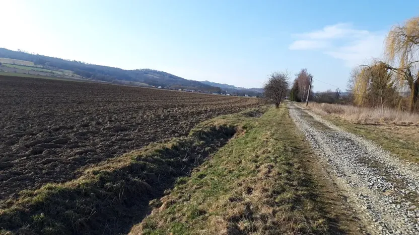 Prodej pozemku pro bydlení, Libina, 12500 m2