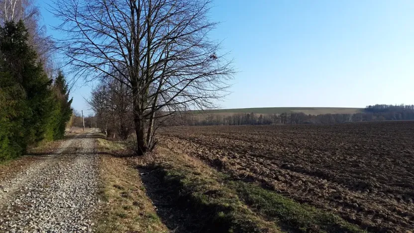 Prodej pozemku pro bydlení, Libina, 12500 m2