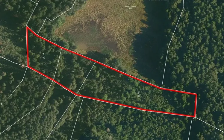 Prodej lesa, Nová Olešná, 9963 m2
