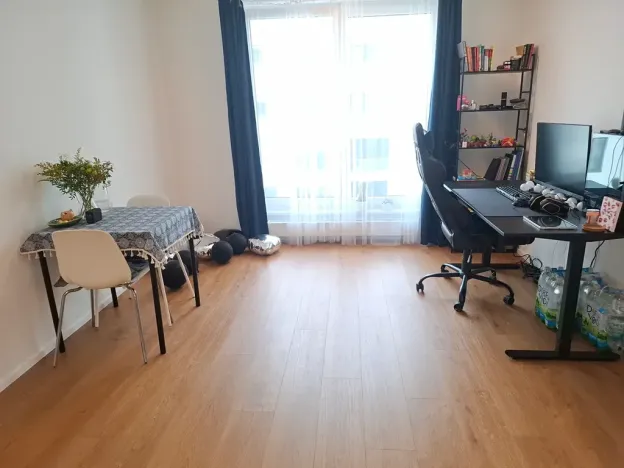 Pronájem bytu 2+kk, Brno, třída Generála Píky, 47 m2