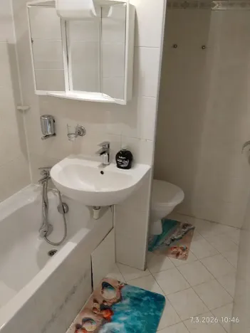 Pronájem bytu 1+1, Karlovy Vary, Dvořákova, 36 m2