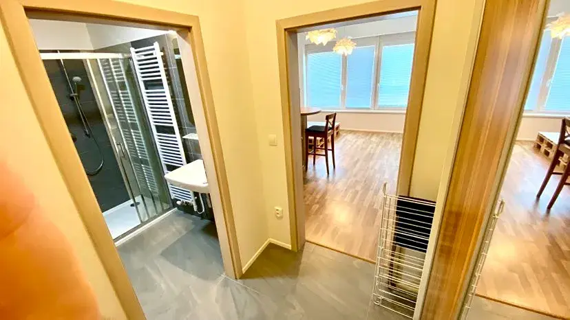 Pronájem bytu 1+kk, Brno, Přadlácká, 31 m2