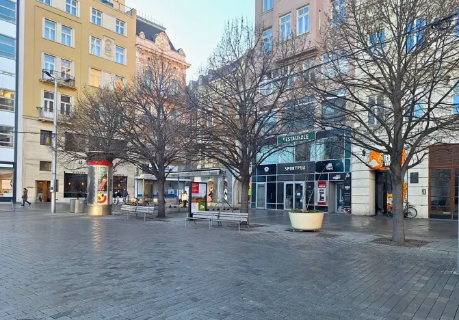 Pronájem obchodního prostoru, Brno, náměstí Svobody, 263 m2