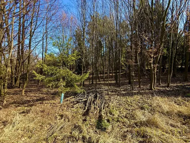 Prodej pole, Chotěbuz, Pod Zámkem, 2300 m2