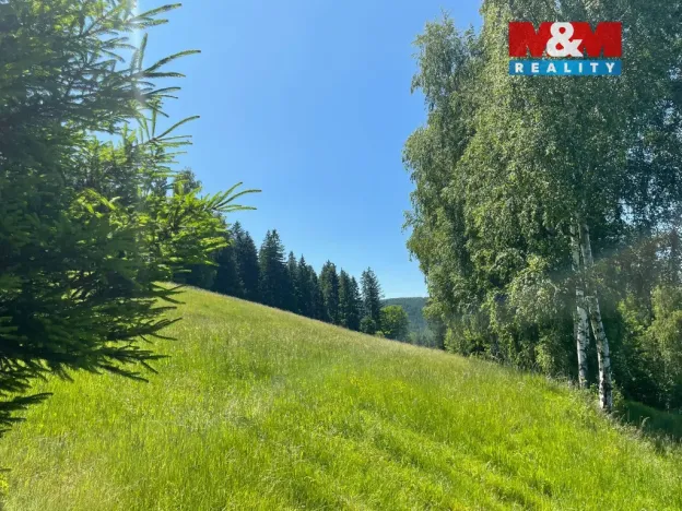 Prodej pole, Spělkov, 25164 m2