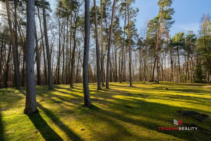 Pronájem bytu 3+1, Třebechovice pod Orebem, 75 m2