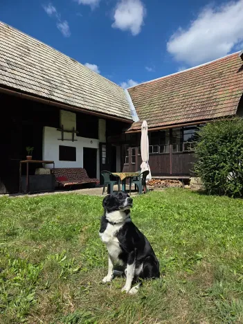 Prodej chalupy, Střelná, 150 m2