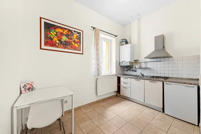 Prodej bytu 2+1, Praha - Žižkov, Bořivojova, 77 m2