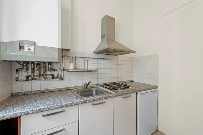 Prodej bytu 2+1, Praha - Žižkov, Bořivojova, 77 m2