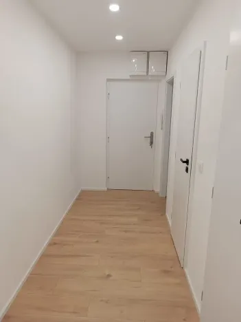 Prodej bytu 2+1, Brno, Souběžná, 56 m2