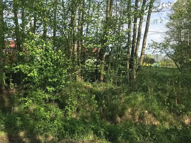 Prodej pozemku pro bydlení, Dobříkov, 1247 m2