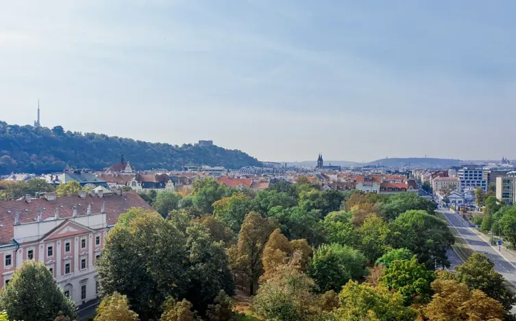 Pronájem obchodního prostoru, Praha - Karlín, 77 m2