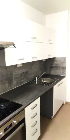 Pronájem bytu 3+1, Pardubice, Bělehradská, 60 m2