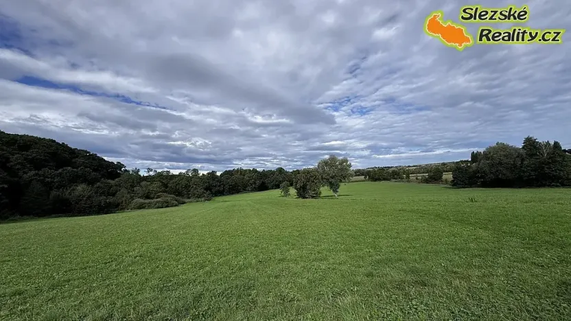 Prodej chaty, Hlučín, 50 m2