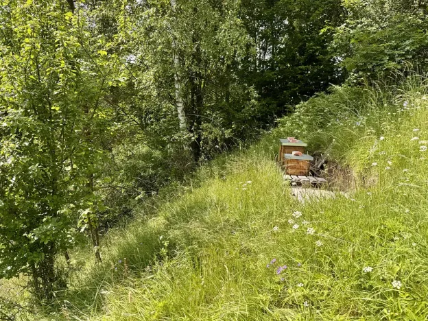 Prodej domu, Bernartice, 150 m2