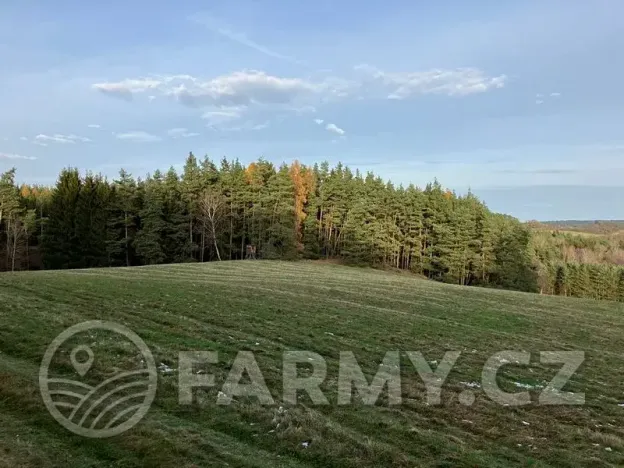 Prodej pole, Planá, 21513 m2