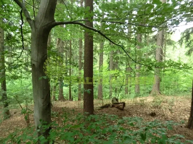 Prodej lesa, Zlín, Modřínová, 179312 m2