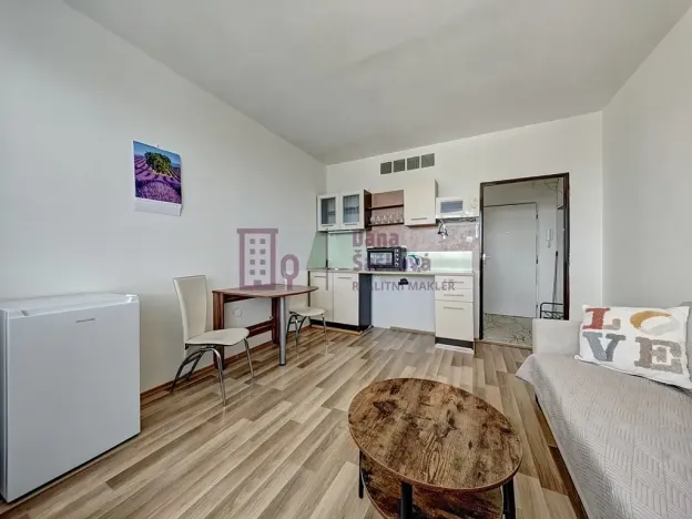 Pronájem bytu 1+kk, Jindřichův Hradec, sídliště U Nádraží, 25 m2