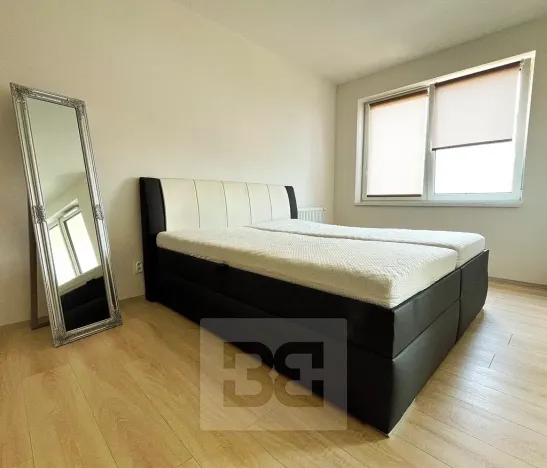 Pronájem bytu 1+kk, Plzeň, Boettingerova, 33 m2