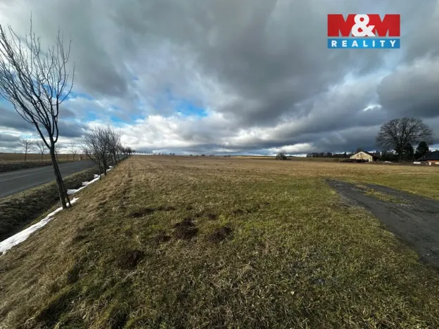 Prodej pozemku pro bydlení, Větřkovice, 4806 m2