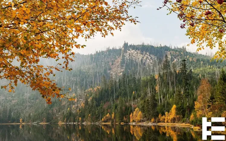 Prodej pozemku pro bydlení, Horní Planá, 875 m2