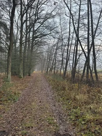 Prodej podílu lesa, Břehy, 1092 m2