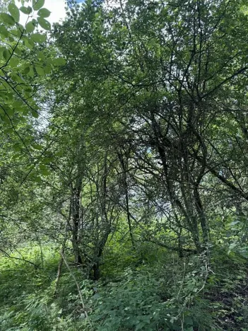 Prodej podílu pozemku, Suchdol, 3247 m2