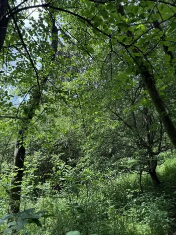 Prodej podílu pozemku, Suchdol, 3247 m2