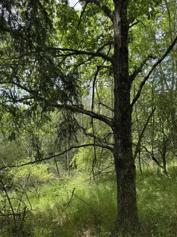 Prodej podílu pozemku, Suchdol, 3247 m2