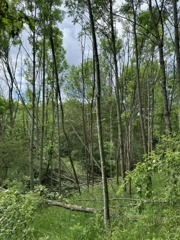 Prodej podílu pozemku, Suchdol, 3247 m2