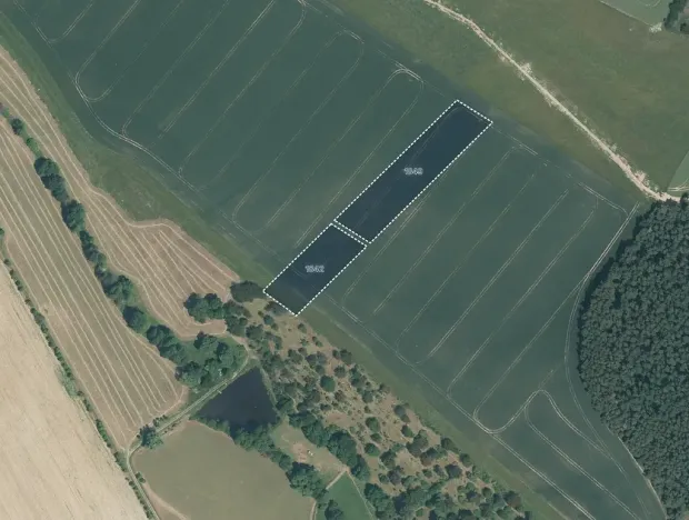 Prodej pole, Soběkury, 8248 m2