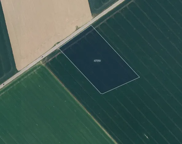 Prodej pole, Oplocany, 4033 m2