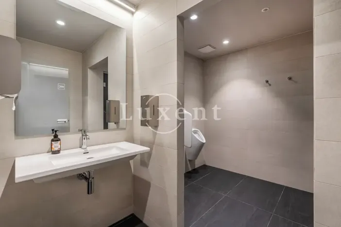 Pronájem bytu 2+kk, Praha, Holečkova, 78 m2