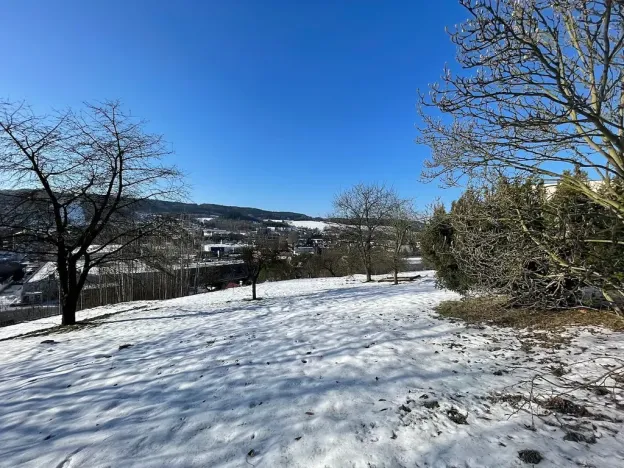 Prodej pozemku pro bydlení, Česká Třebová, 6000 m2