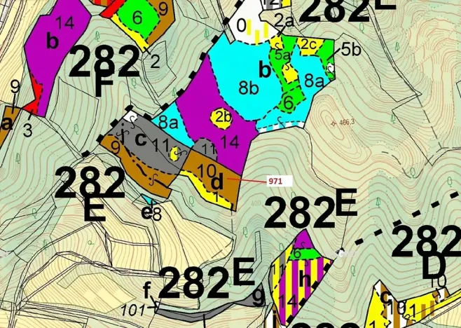 Dražba lesa, Lhota Rapotina, 4308 m2