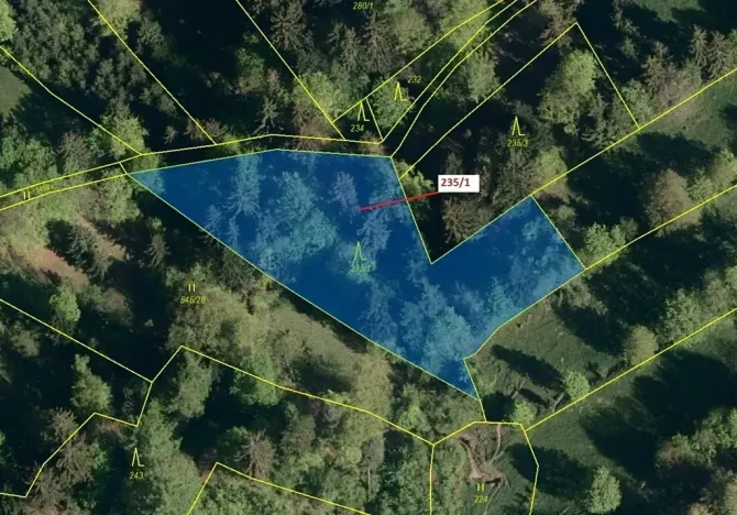 Dražba lesa, Zděchov, 2467 m2