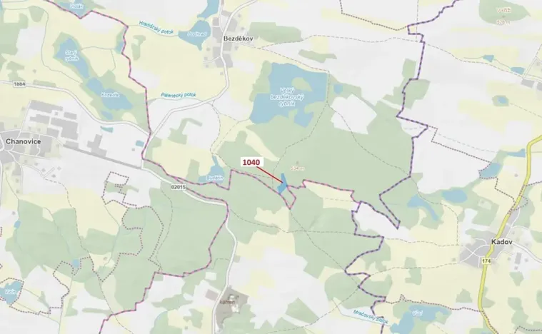 Dražba lesa, Hradiště, 6519 m2