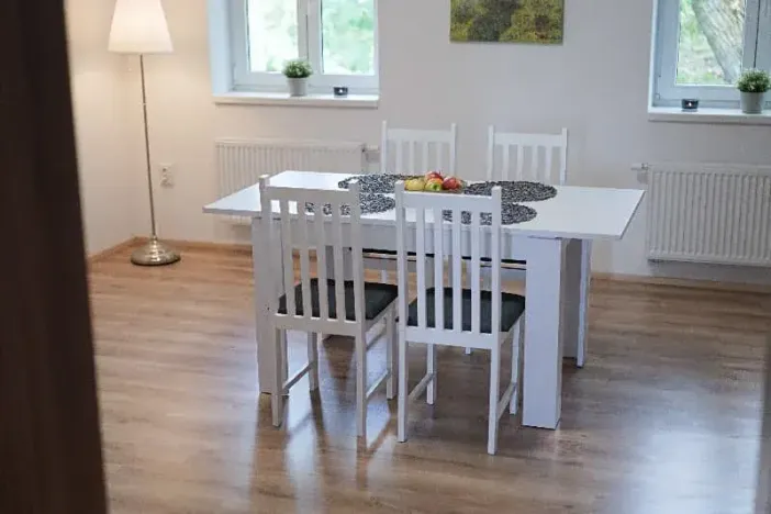 Pronájem apartmánu, Ostrava, Riegrova, 300 m2