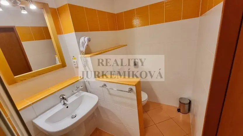 Prodej bytu 1+kk, Frymburk, 30 m2