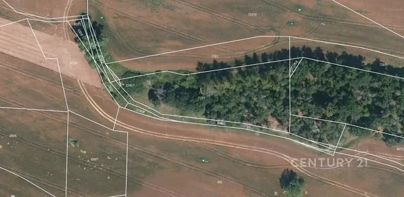 Prodej pole, Střelské Hoštice, 32521 m2