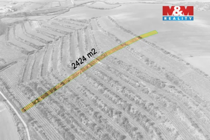 Prodej pole, Morkůvky, 2424 m2
